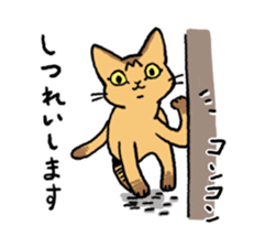 Abyssinian<Cat sticker> sticker #15049482