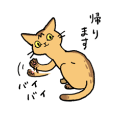 Abyssinian<Cat sticker> sticker #15049483