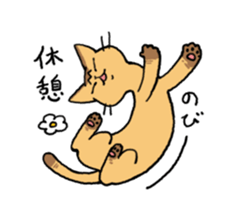 Abyssinian<Cat sticker> sticker #15049485