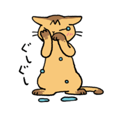 Abyssinian<Cat sticker> sticker #15049487