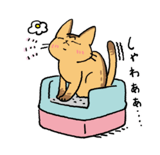 Abyssinian<Cat sticker> sticker #15049491