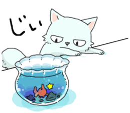 Persian<Cat sticker> sticker #15049647