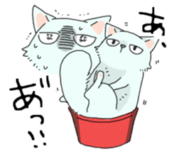 Persian<Cat sticker> sticker #15049652