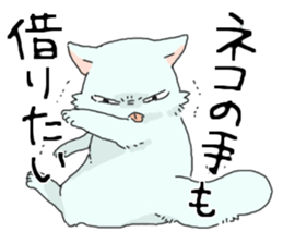 Persian<Cat sticker> sticker #15049657