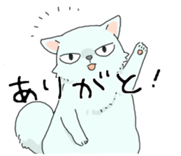 Persian<Cat sticker> sticker #15049663