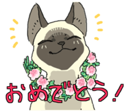 Siamese<Cat sticker> sticker #15049885