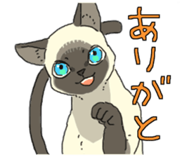 Siamese<Cat sticker> sticker #15049886