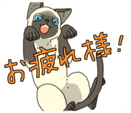 Siamese<Cat sticker> sticker #15049887
