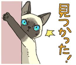 Siamese<Cat sticker> sticker #15049888