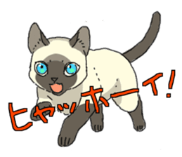 Siamese<Cat sticker> sticker #15049892
