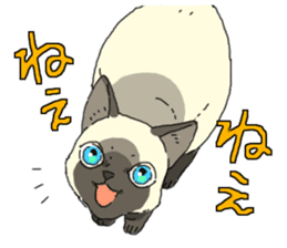 Siamese<Cat sticker> sticker #15049893
