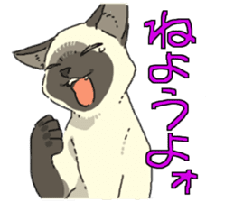 Siamese<Cat sticker> sticker #15049894