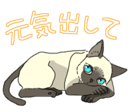 Siamese<Cat sticker> sticker #15049899