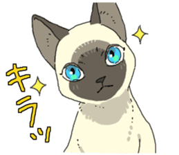 Siamese<Cat sticker> sticker #15049902