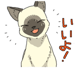 Siamese<Cat sticker> sticker #15049903