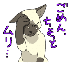 Siamese<Cat sticker> sticker #15049904