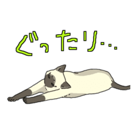 Siamese<Cat sticker> sticker #15049905