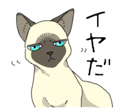 Siamese<Cat sticker> sticker #15049907