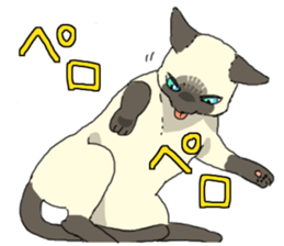 Siamese<Cat sticker> sticker #15049908