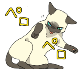 Siamese<Cat sticker> sticker #15049908