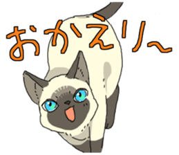 Siamese<Cat sticker> sticker #15049909
