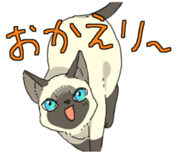 Siamese<Cat sticker> sticker #15049909