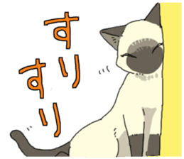 Siamese<Cat sticker> sticker #15049910