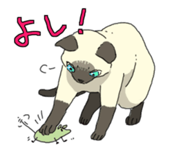 Siamese<Cat sticker> sticker #15049912