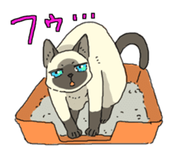 Siamese<Cat sticker> sticker #15049913