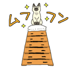 Siamese<Cat sticker> sticker #15049914