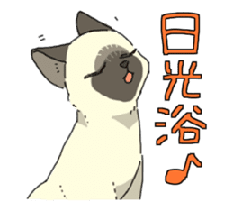 Siamese<Cat sticker> sticker #15049915