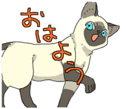 Siamese<Cat sticker> sticker #15049920