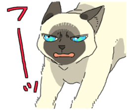 Siamese<Cat sticker> sticker #15049921