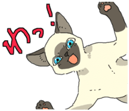 Siamese<Cat sticker> sticker #15049922