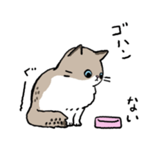 Ragdoll<Cat sticker> sticker #15050510