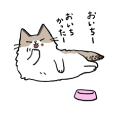 Ragdoll<Cat sticker> sticker #15050511