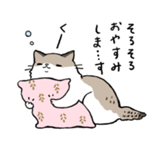 Ragdoll<Cat sticker> sticker #15050512