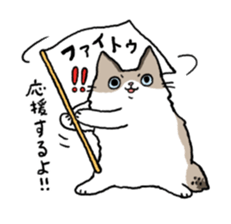 Ragdoll<Cat sticker> sticker #15050519