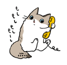 Ragdoll<Cat sticker> sticker #15050520