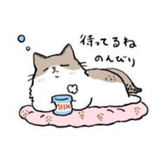 Ragdoll<Cat sticker> sticker #15050525