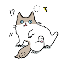 Ragdoll<Cat sticker> sticker #15050527