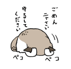 Ragdoll<Cat sticker> sticker #15050529