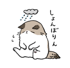 Ragdoll<Cat sticker> sticker #15050530