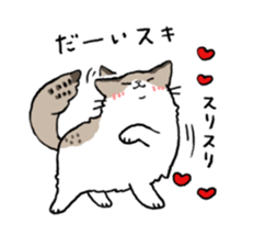 Ragdoll<Cat sticker> sticker #15050532