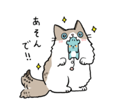 Ragdoll<Cat sticker> sticker #15050535