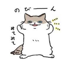 Ragdoll<Cat sticker> sticker #15050537
