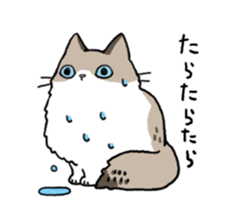 Ragdoll<Cat sticker> sticker #15050542