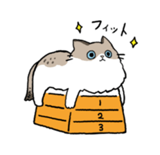 Ragdoll<Cat sticker> sticker #15050545