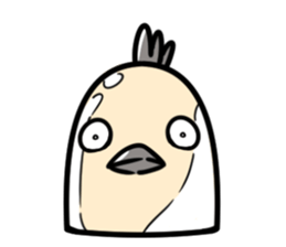 Bird's facial performance-TORI NO KAOGEI sticker #15050728