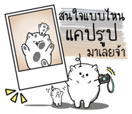 Foo Foo little dog merchant Online Shop sticker #15050756